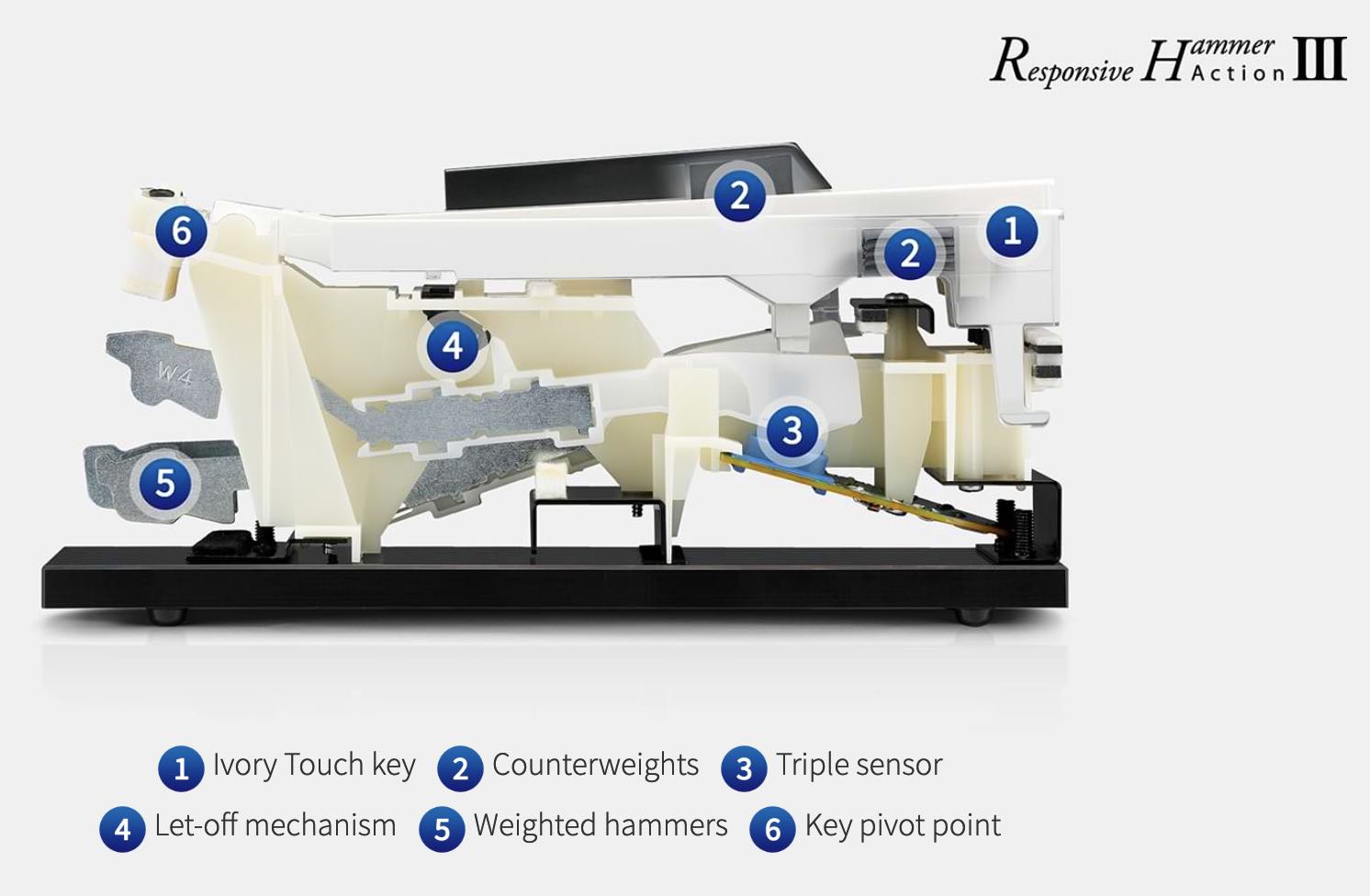 Kawai_Responsive_Hammer_Action_III.jpg