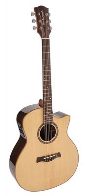 Richwood Master Series SWG-150W-CE