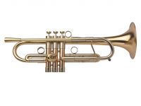 A4 ADAMS CUSTOM SERIES TRUMPETTI