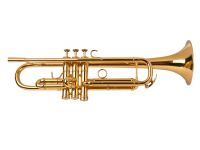 ADAMS A5 CUSTOM SERIES TRUMPETTI