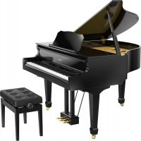 Roland GP609  PE digitaaliflyygeli