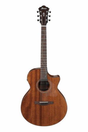 Ibanez AE295-LGS akustinen kitara AE295LGS