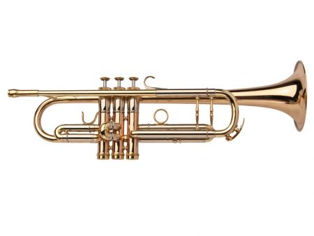 ADAMS A7 CUSTOM SERIES TRUMPETTI