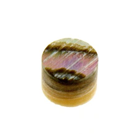 Allparts LT-0497 Shell Side Dot Set Abalone 2.3mm 12pcs LT0497081