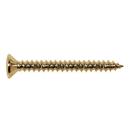 Boston TS-03-G Neck Mounting Screw Gold 45mm 1kpl TS-03-G