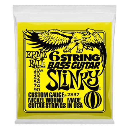 Ernie Ball 6-String Bass Guitar Slinky Nickel 20-90 1102837